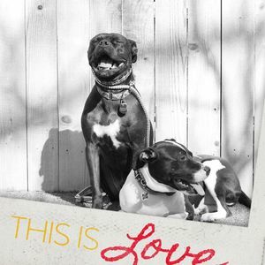 Meet your Posher, Lee